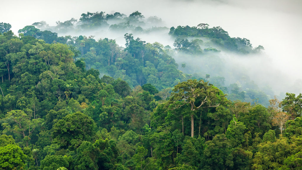 10 Easy Ways To Make Everyday Earth Day