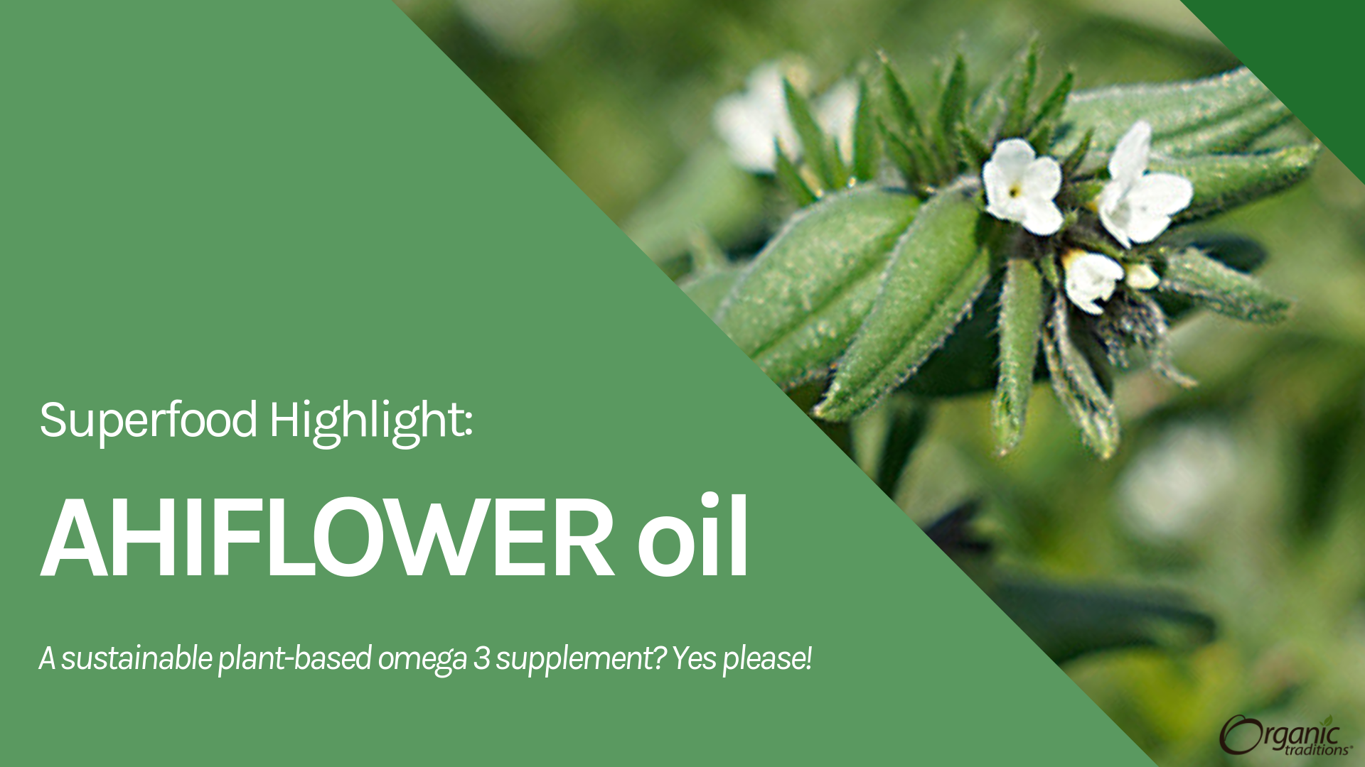 Superfood Highlight: Ahiflower Oil