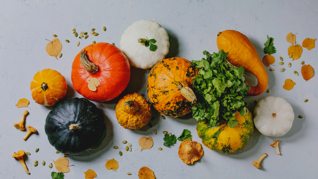 variety of pumpkin organic traditions blog post cover: why we love pumpkins and why you should too